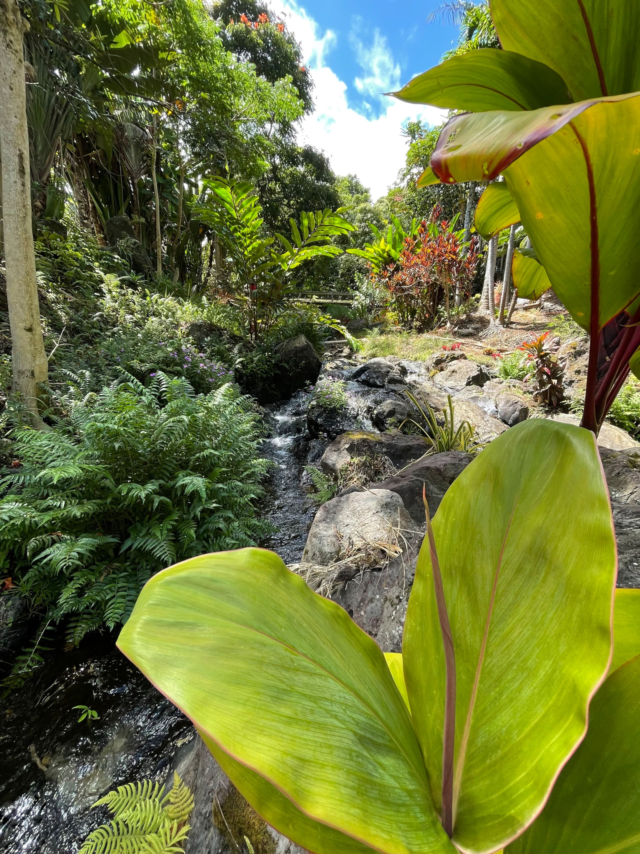 Inspired 1-BR, Magic Gardens, Stream and Waterfall - Photo 24