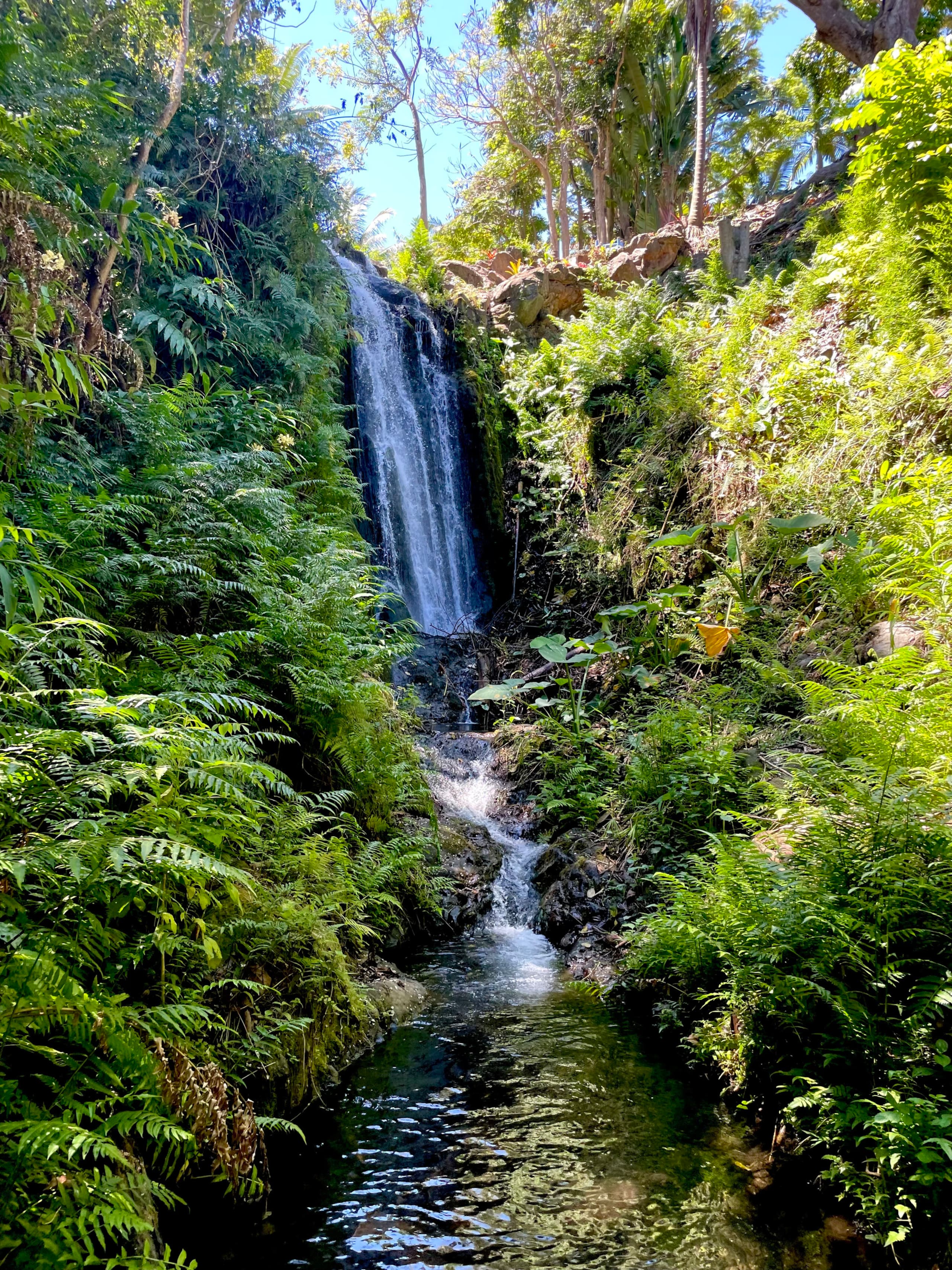 Inspired 1-BR, Magic Gardens, Stream and Waterfall - Photo 13