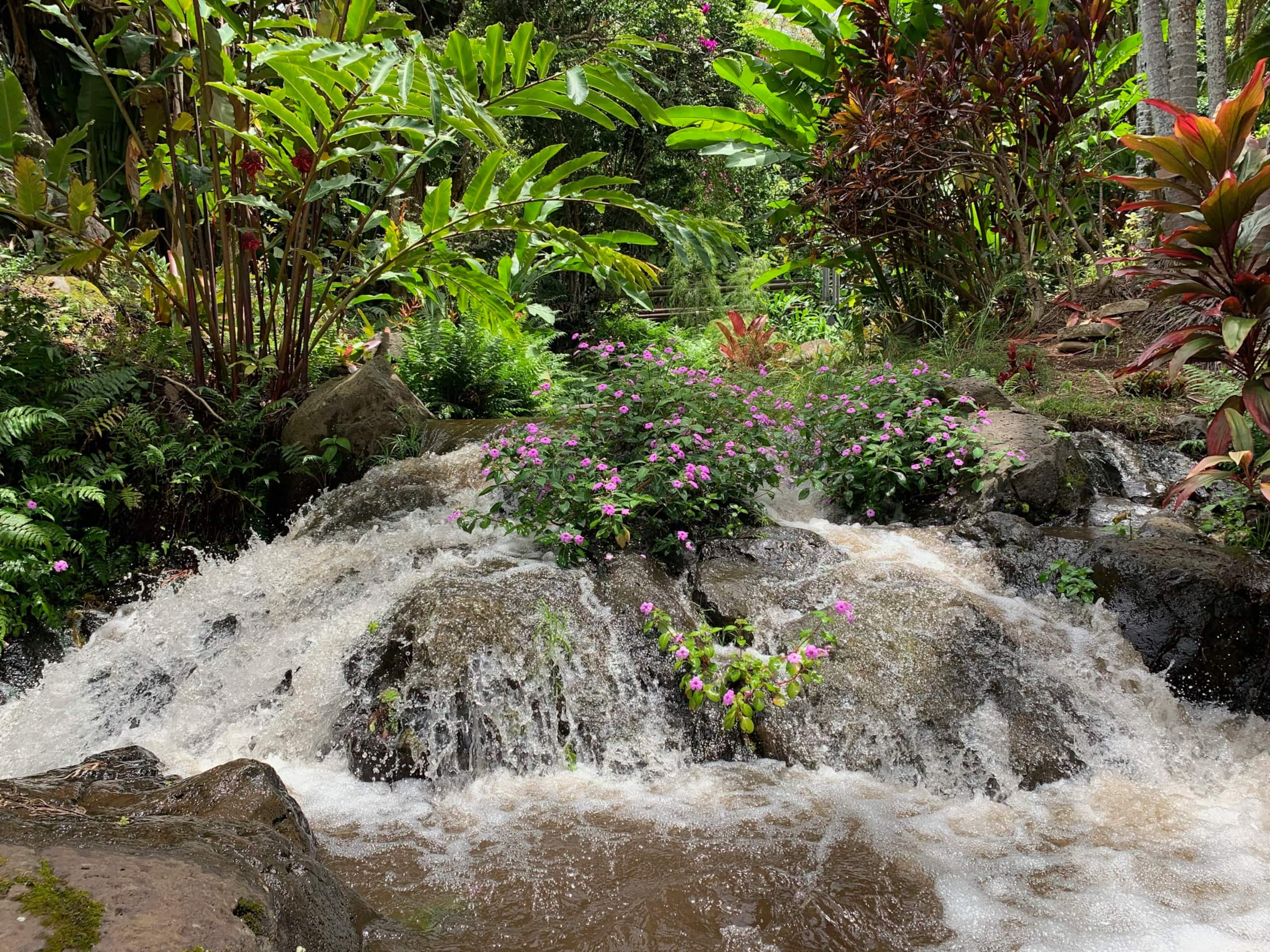Inspired 1-BR, Magic Gardens, Stream and Waterfall - Main photo
