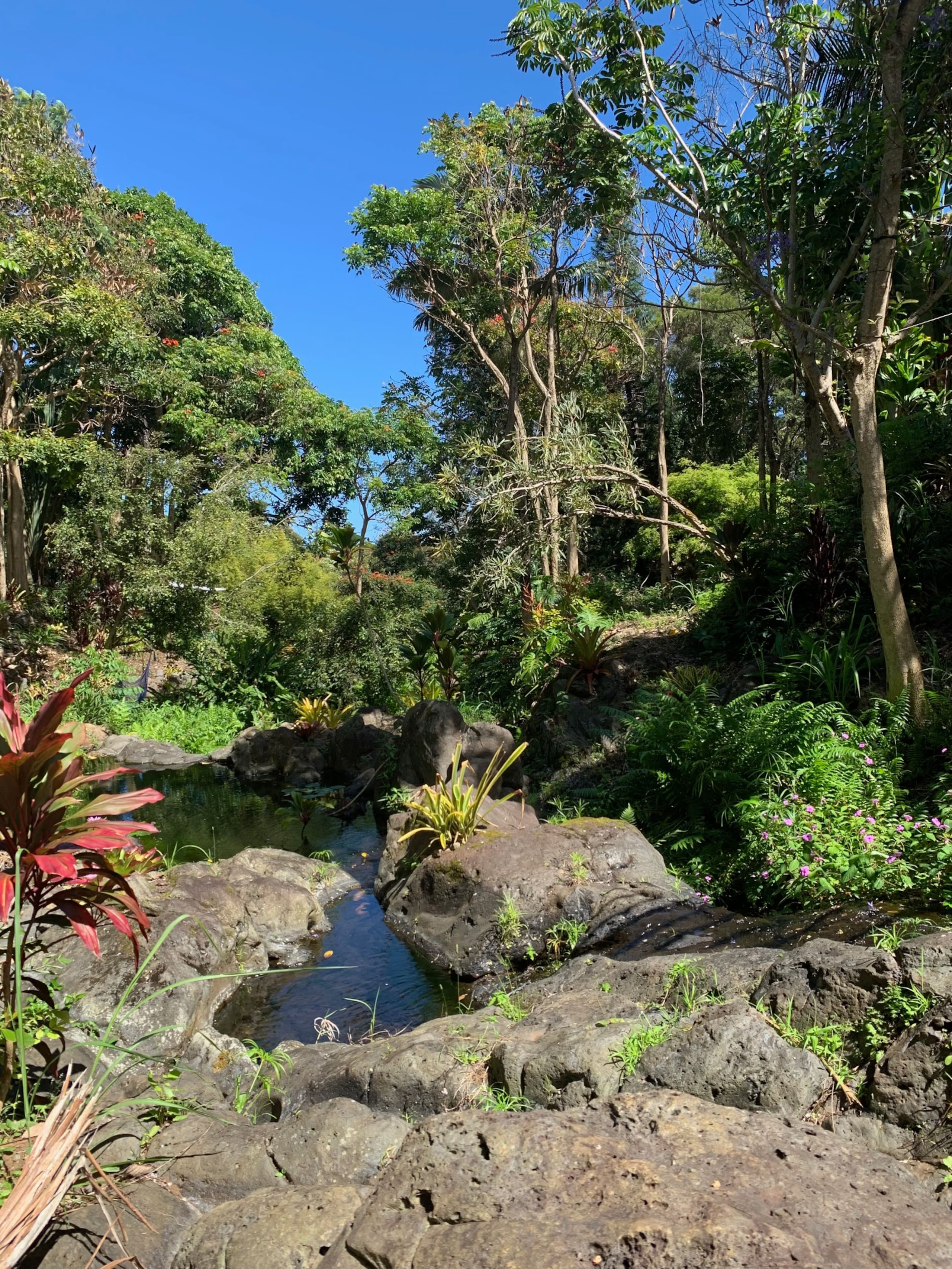 Inspired 1-BR, Magic Gardens, Stream and Waterfall - Photo 23