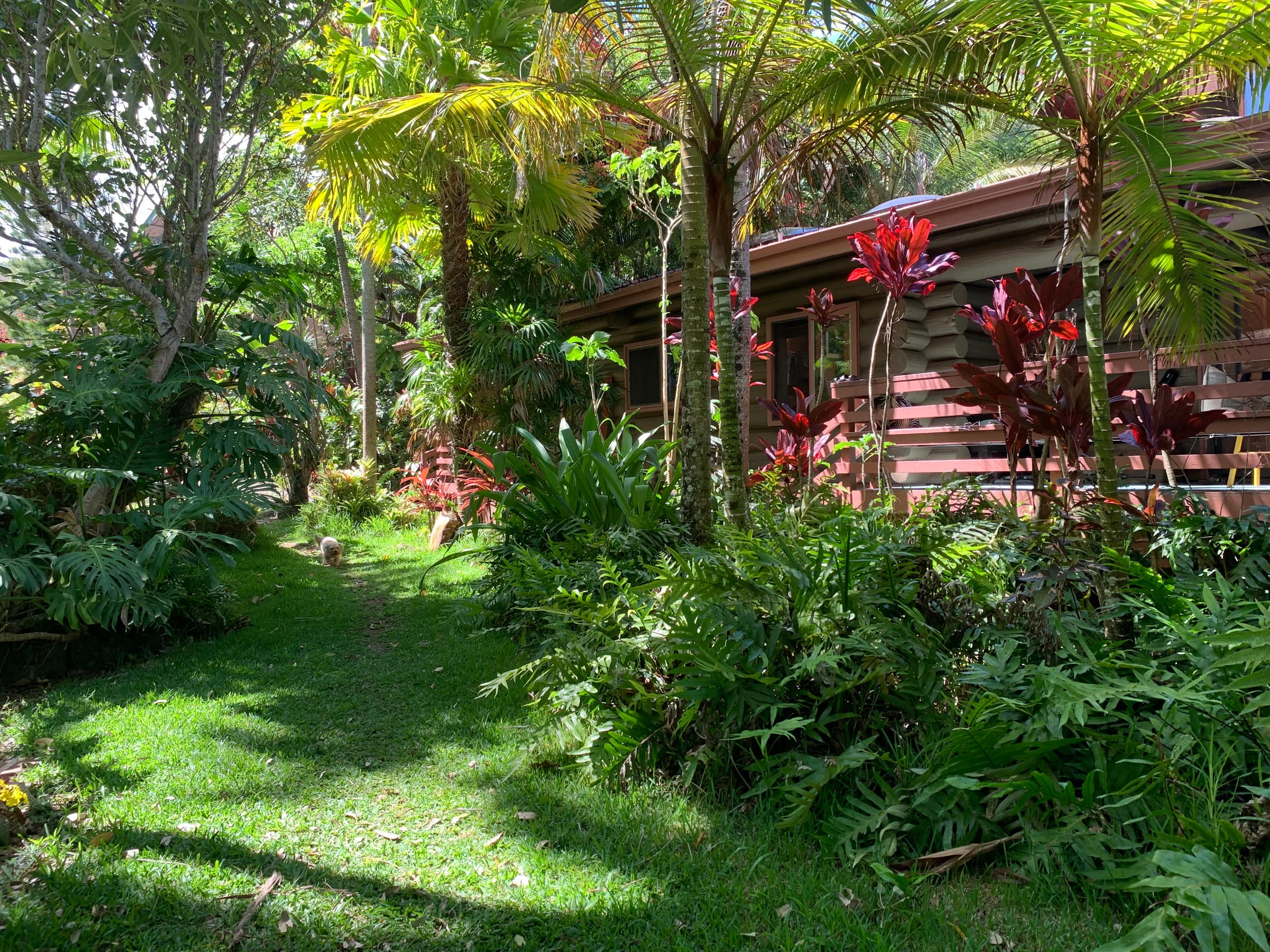 Inspired 1-BR, Magic Gardens, Stream and Waterfall - Photo 20