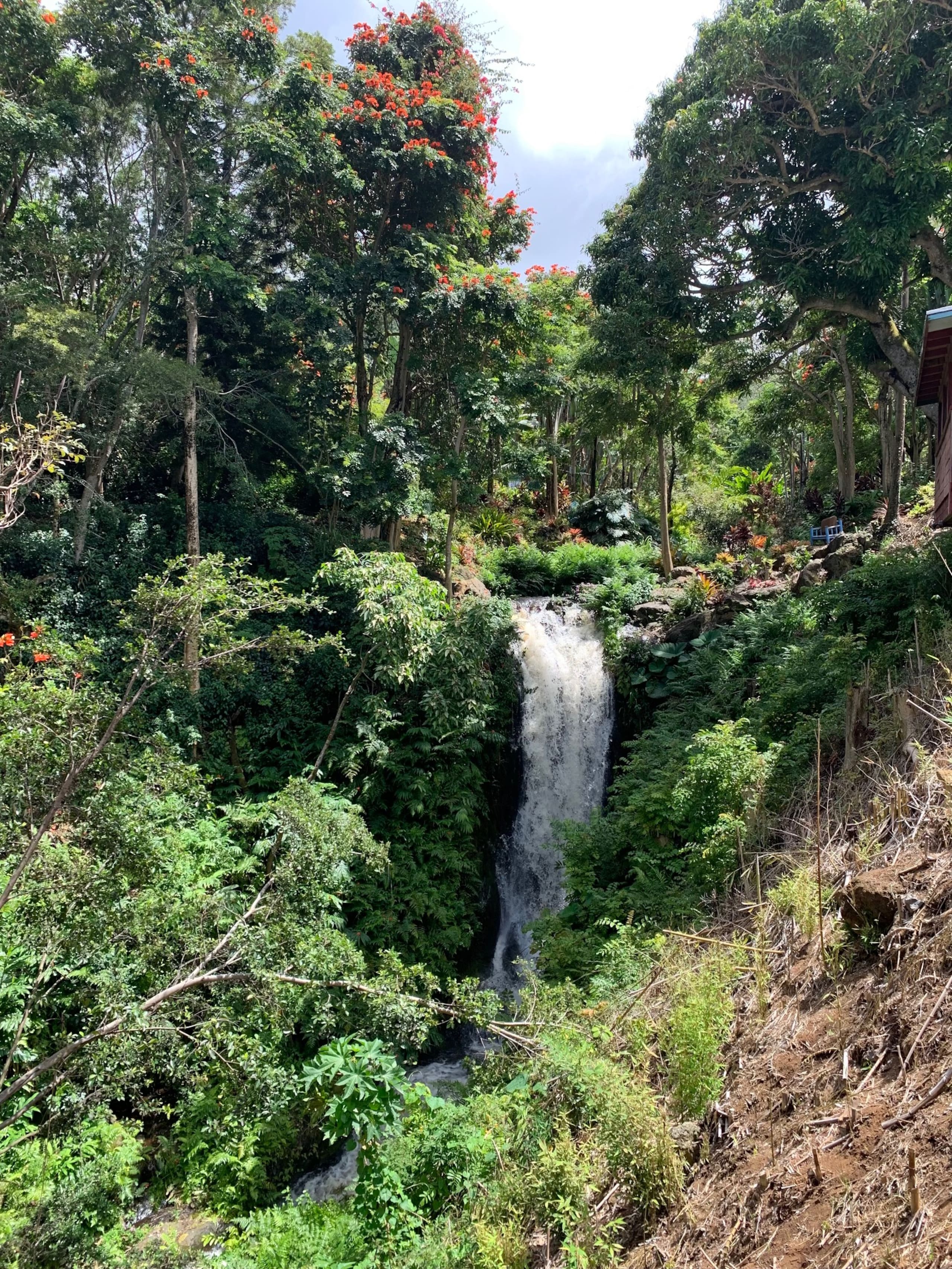 Inspired 1-BR, Magic Gardens, Stream and Waterfall - Photo 16