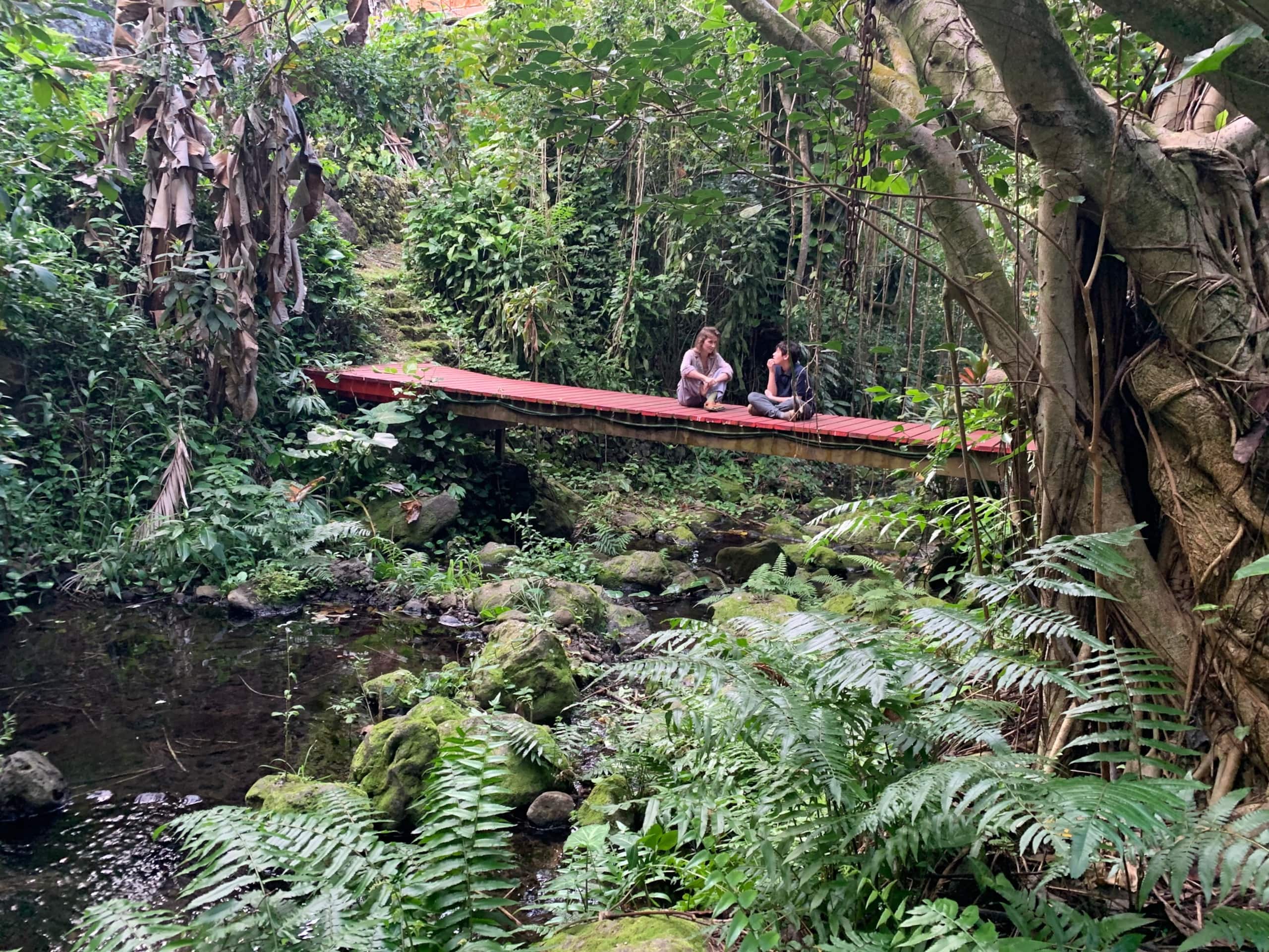 Inspired 1-BR, Magic Gardens, Stream and Waterfall - Photo 22