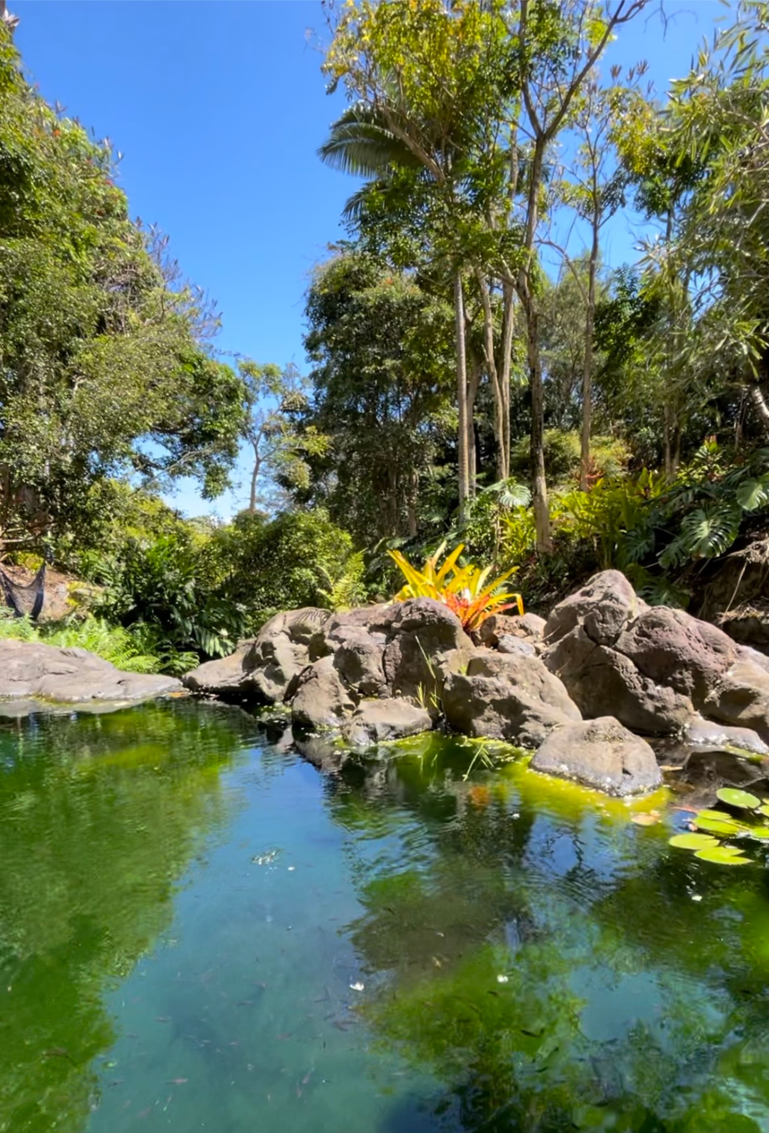 Inspired 1-BR, Magic Gardens, Stream and Waterfall - Photo 21
