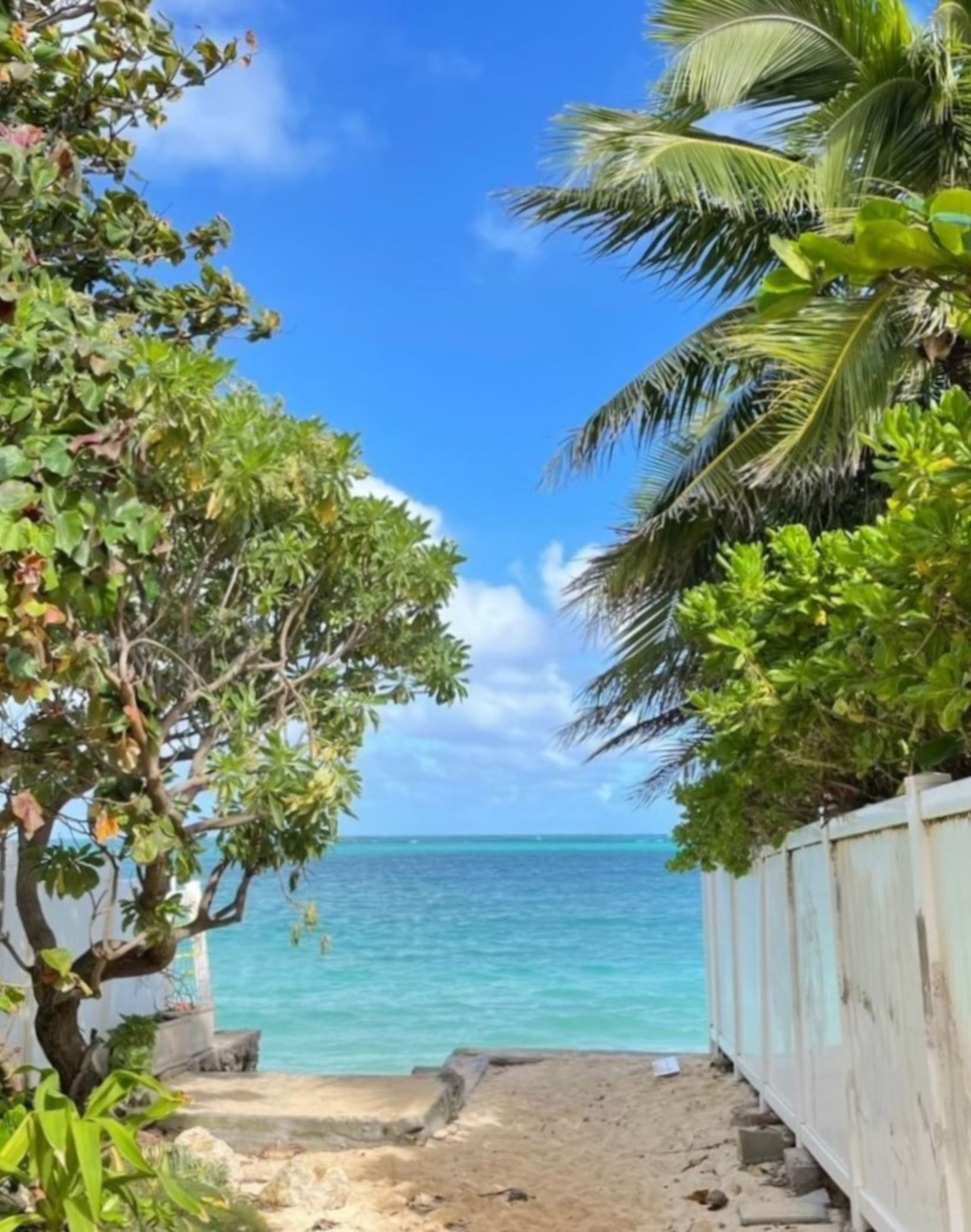 Condo in Honolulu · ★4.61 · 1 bedroom · 2 beds · 1 private bath - Image 28