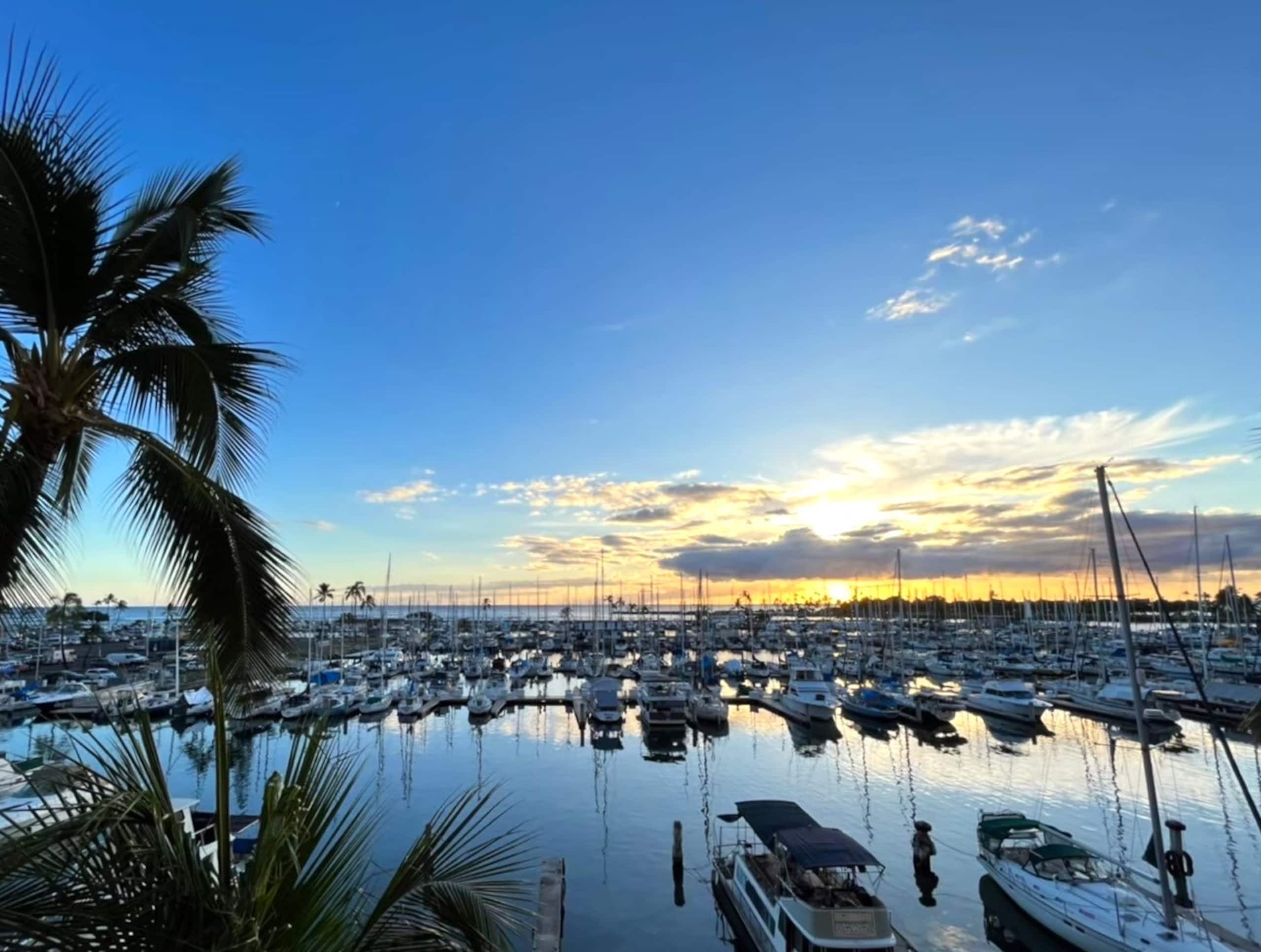 Condo in Honolulu · ★4.61 · 1 bedroom · 2 beds · 1 private bath - Image 31