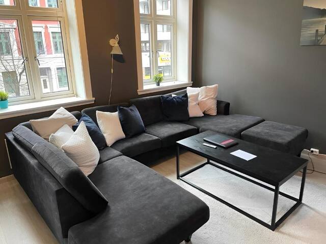 4 bedroom ( 5 dbl bed ) flat in the Centre of Oslo