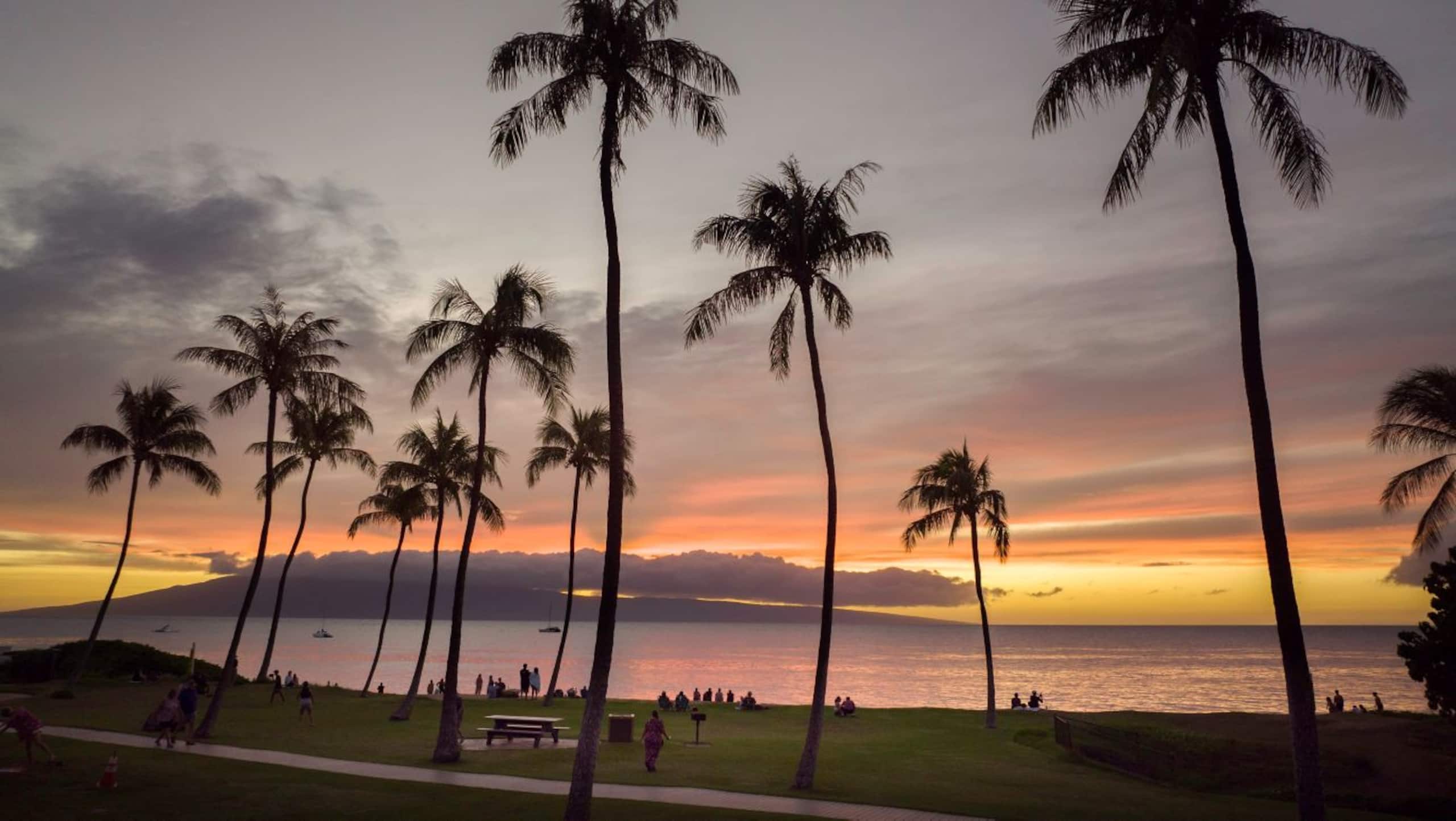 Hotel in Lahaina · ★5.0 · 2 bedrooms · 2 private baths - Image 16