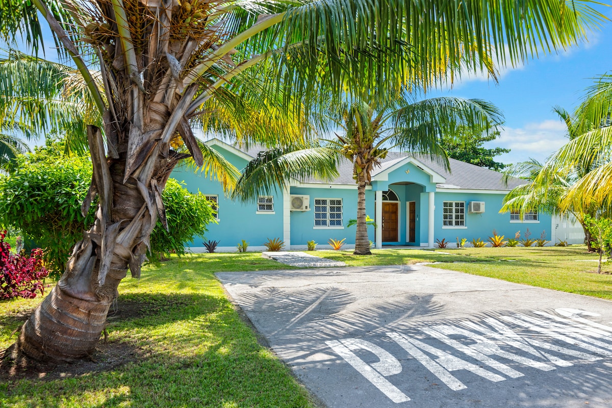 A light blue, single-story house is framed by lush palm trees and vibrant greenery. A spacious driveway, marked with the word 'PARKING,' leads to the front entrance, which is flanked by decorative plants.