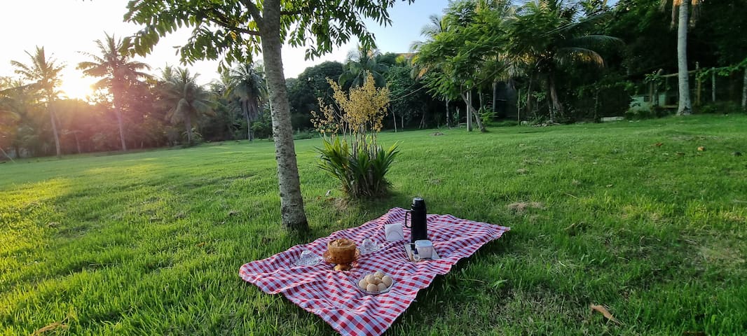 Trips Temporada Guest House managed Airbnb listing 2