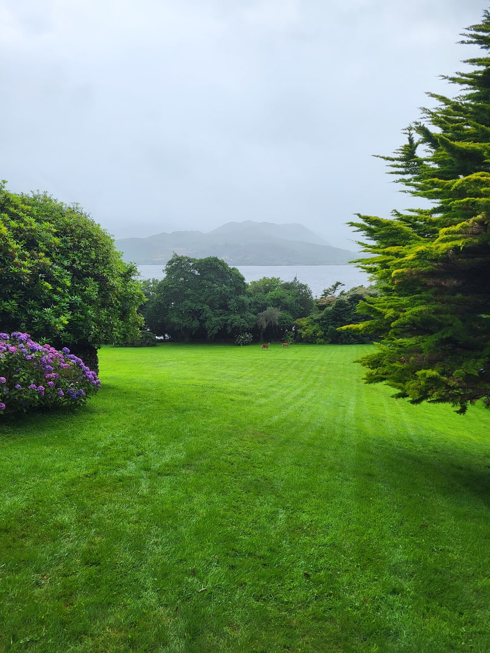 The Cottage at Lakefield, in four acres of lakeside garden, Killorglin, County Kerry, Ireland, photo 6 of 10