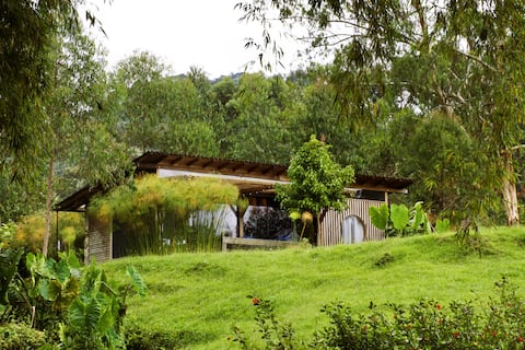 La Serranía Chalet, birds, and nature