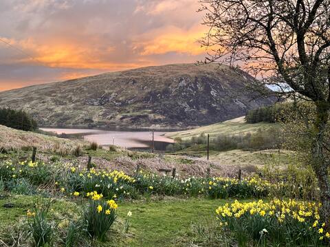Rural Shepherd's Cottage Megget Reservoir