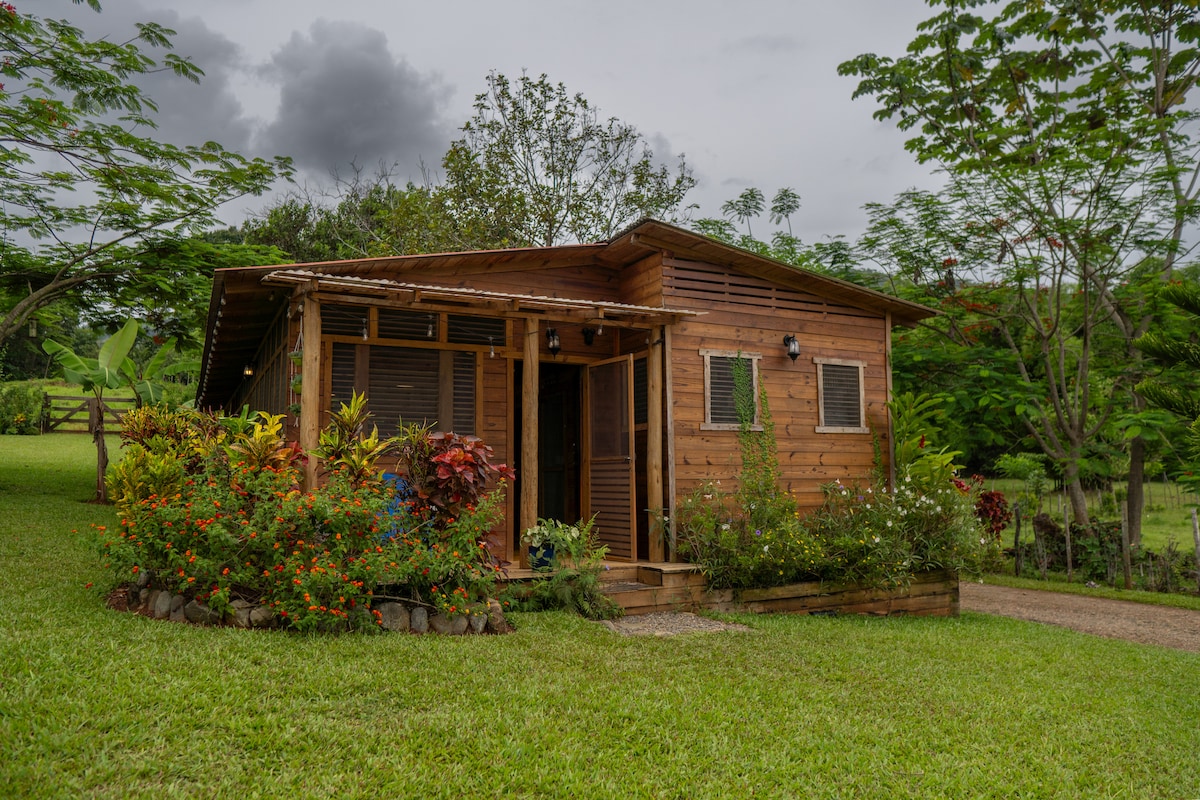 A charming wooden cabin is nestled in a lush green landscape, surrounded by vibrant flowers and plants. The exterior features large windows and a welcoming entrance. A gravel path leads up to the front door, framed by well-maintained greenery.