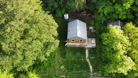 Cottage in Tskhvarichamia forest