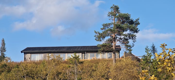 Holmetjernhytta