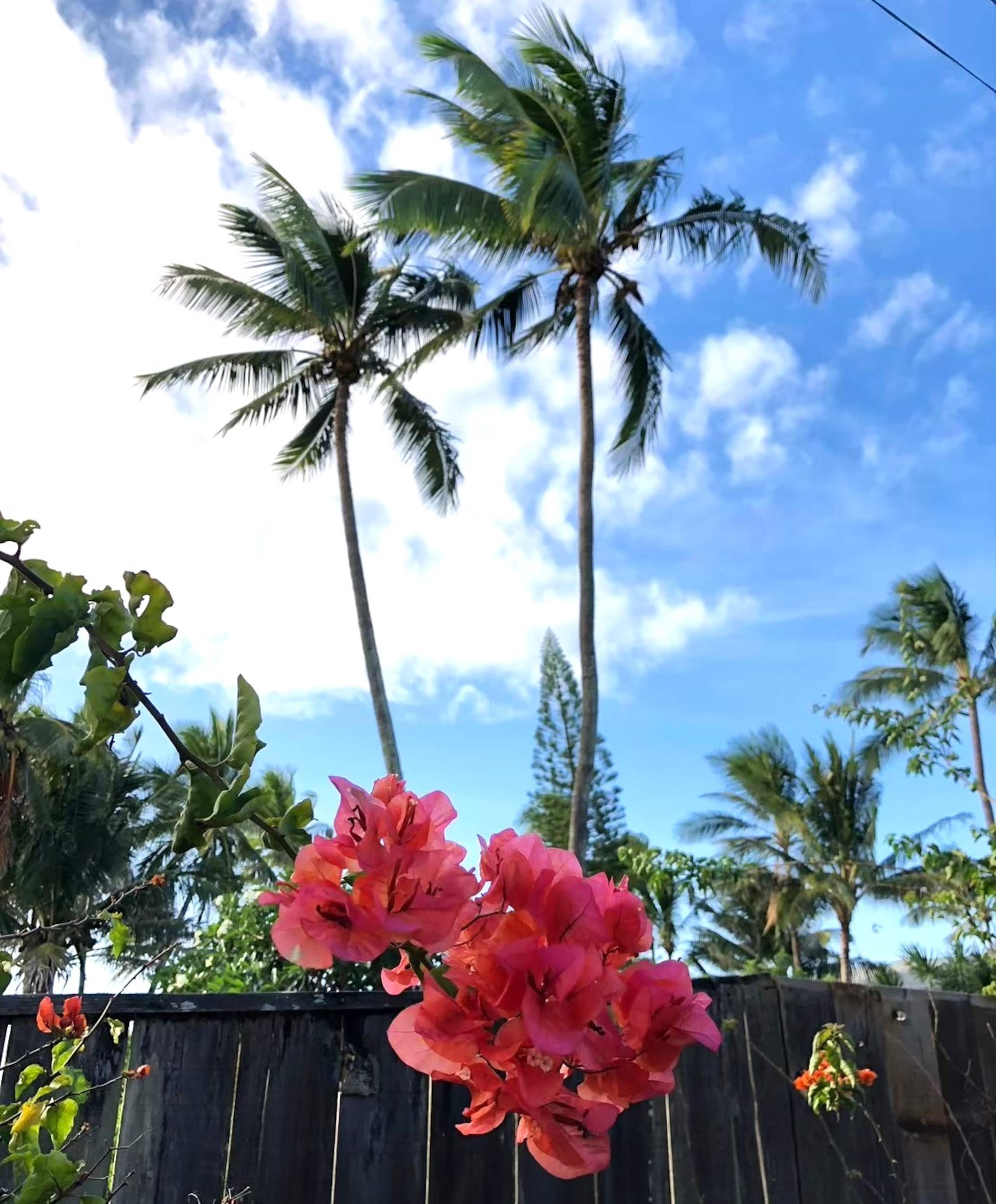 Condo in Honolulu · ★4.69 · 1 bedroom · 2 beds · 1 private bath - Image 26