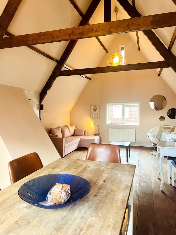 Appartement With Roof Terrace Next To Amsterdam - Volendam