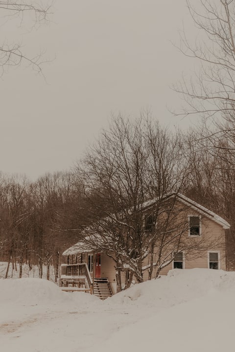 Spacious Cabin on C5 Tug Trail, Near Salmon River