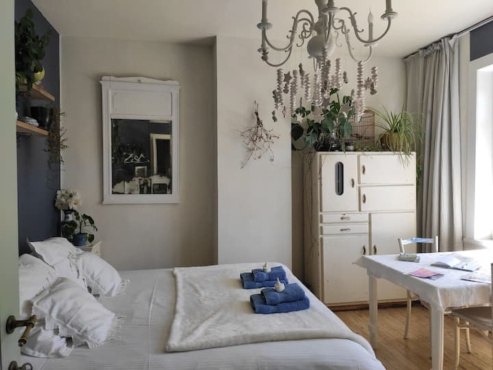 Een kingsize bed (180 m) maar ook 2 aparte bedden zijn mogelijk in Renée