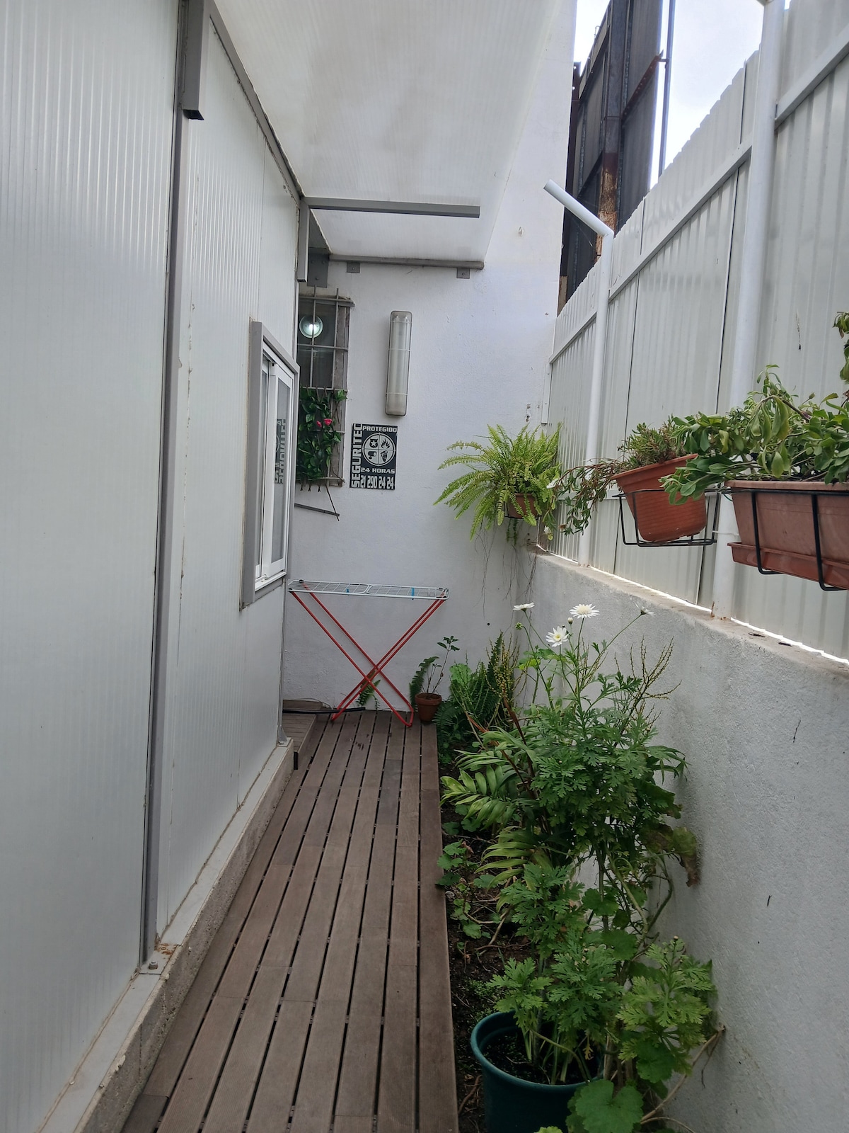 A narrow pathway is lined with wooden decking, flanked by potted plants and greenery. A small, red drying rack is positioned against the wall. White walls are visible, along with a window providing natural light to the space.