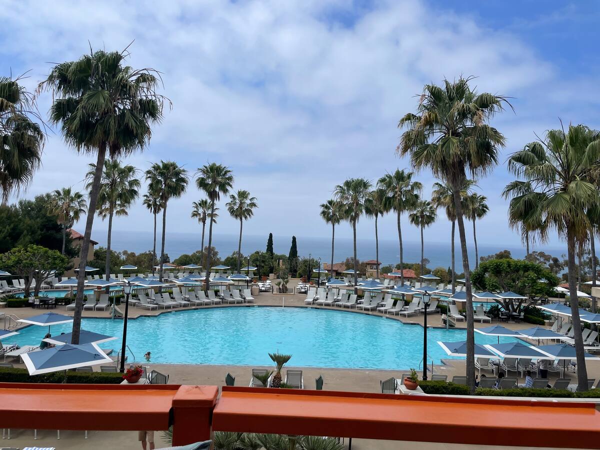A large outdoor pool area is surrounded by palm trees, creating a tropical ambiance. Lounge chairs are arranged around the pool, and shaded umbrellas are positioned for comfort. In the background, a scenic view of the horizon and trees is visible, contributing to a serene environment.