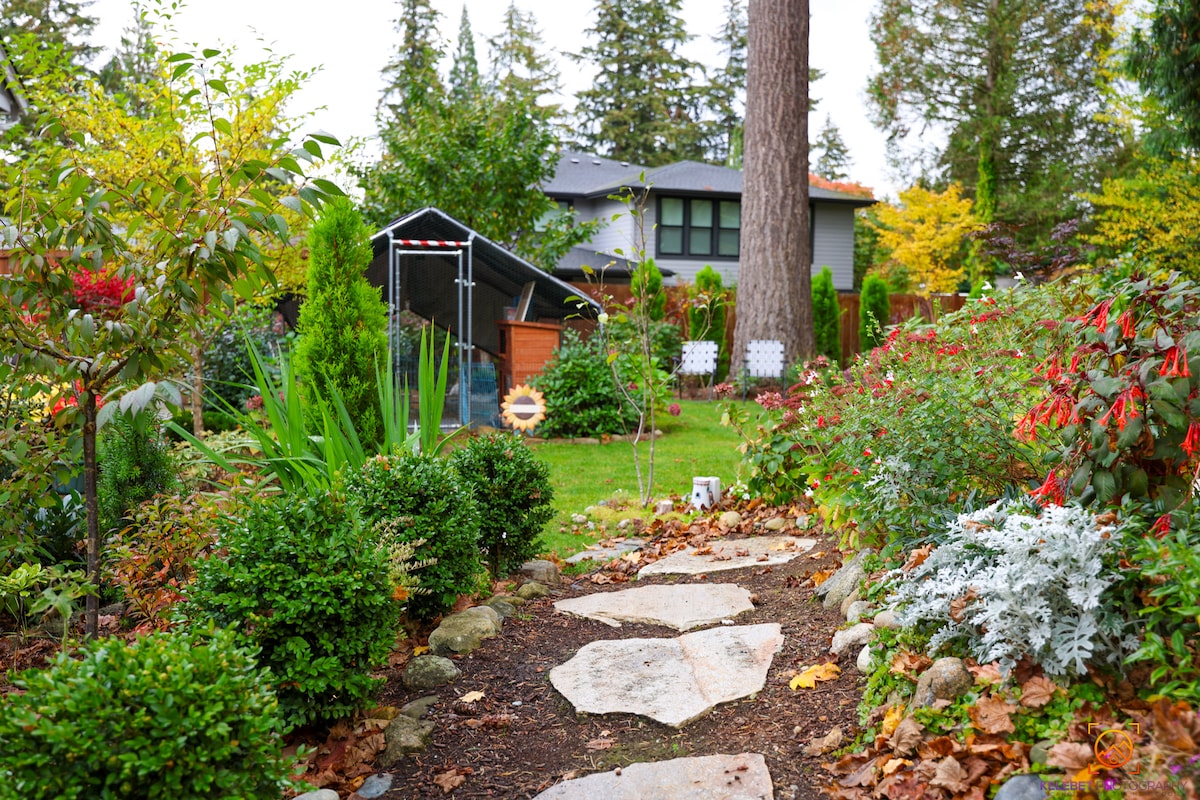 A stone pathway leads through a lush garden, bordered by vibrant greenery and colorful plants. Various flowerbeds and shrubs complement the serene atmosphere, while the guest house is visible in the background, surrounded by tall trees. A tranquil setting invites outdoor exploration.