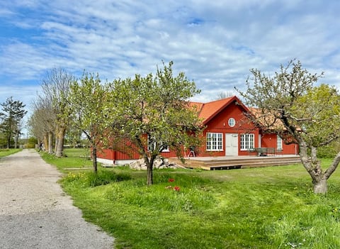 Newly built villa, with rural location near Alvaret