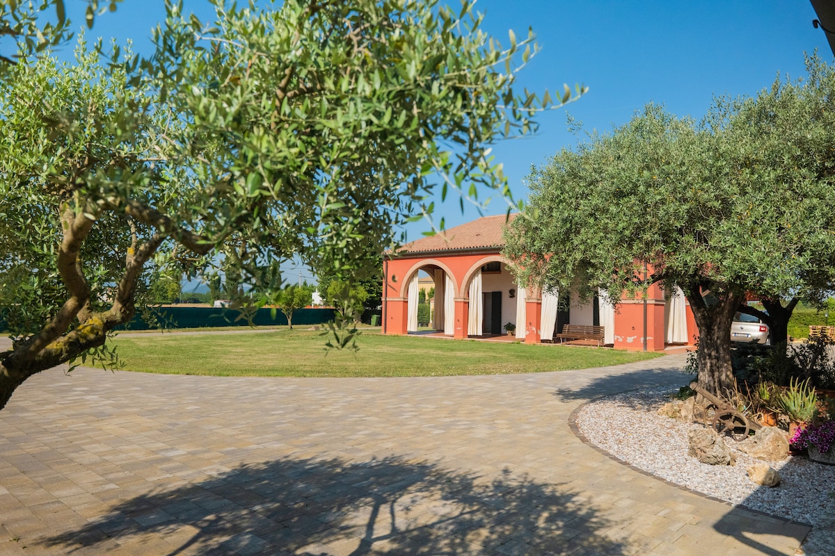 The view showcases a spacious outdoor area with a well-maintained lawn, framed by olive trees on either side. A charming red building with arched entries is visible in the background, along with a paved driveway leading to the entrance.