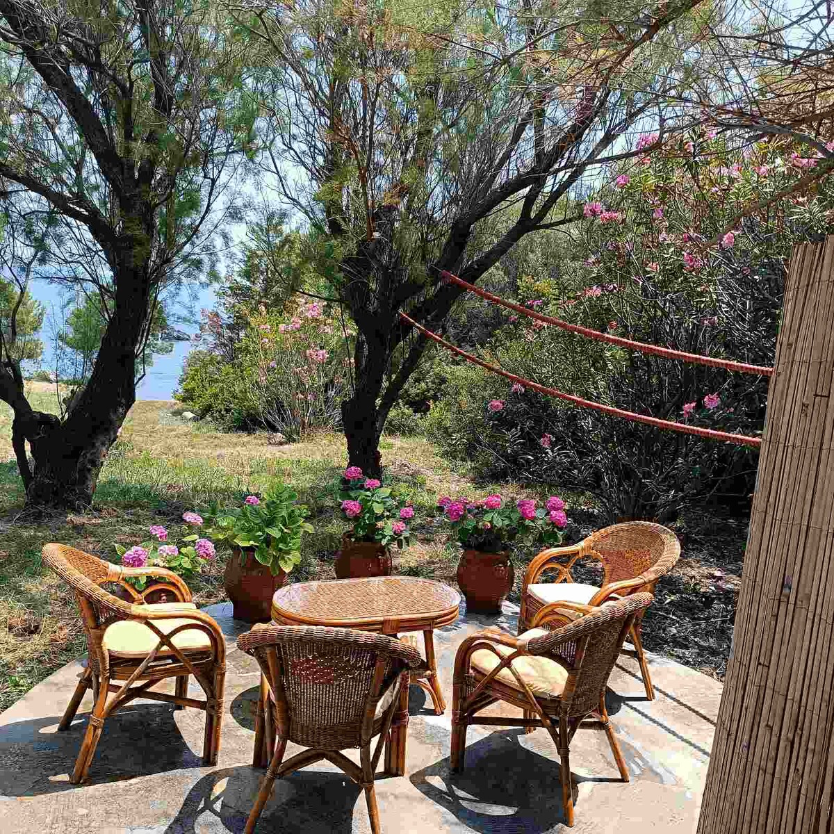 An outdoor seating area is surrounded by lush greenery and flowering plants. A small round table is accompanied by four wicker chairs, providing a serene space to relax. The setting is complemented by trees that offer shade and a view of the vibrant garden.