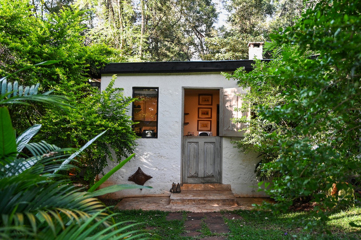 A charming cottage entrance is framed by lush greenery, showcasing a light-colored exterior. Rustic wooden doors open to a warm interior, with a pathway of stone leading to the entrance. Natural light filters through the surrounding foliage, enhancing the serene setting.