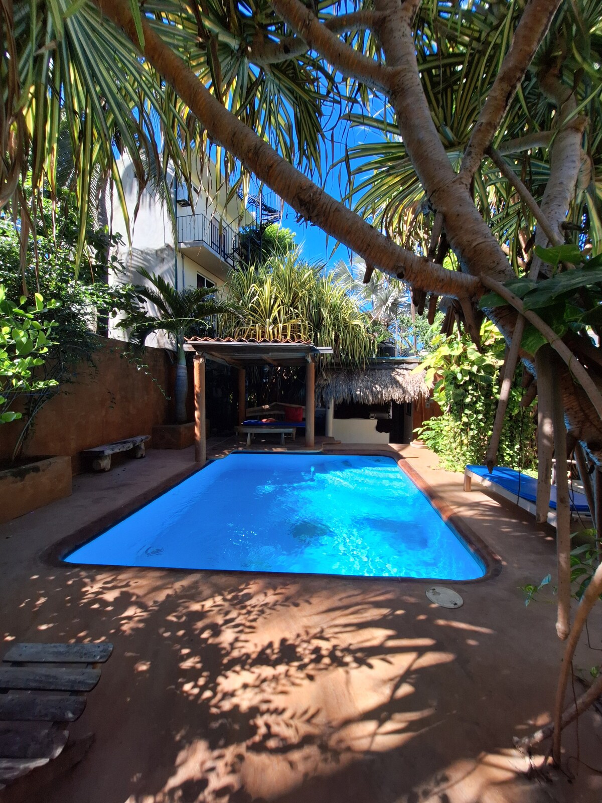 A shared swimming pool is surrounded by lush greenery and palm trees. A thatched-roof structure provides shaded seating nearby. The pool area is enclosed by smooth earth-toned walls, offering a sense of privacy while allowing sunlight to filter through the foliage.