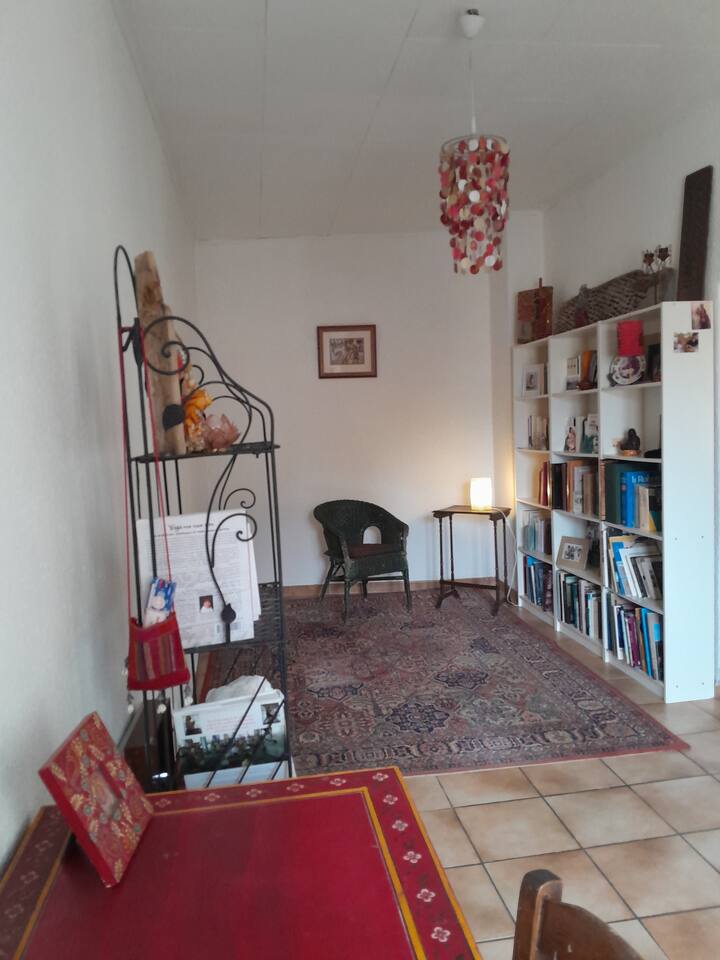 Grand Appart Aéré Avec Terrasse Centre Historique - ibis budget Arles Sud Fourchon