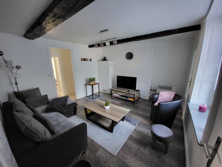 Agréable Maison De Ville Avec Patio - Haulmé
