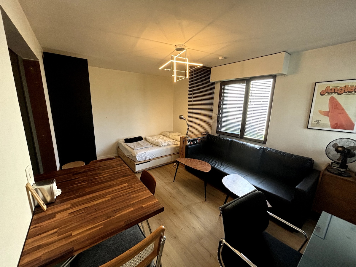 Successful Airbnb property: Studio + carpark, 800 meters from beaches & forest in Anglet