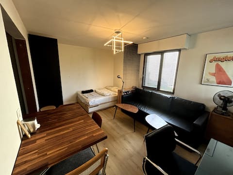 Successful Airbnb property: Studio + carpark, 800 meters from beaches & forest in Anglet