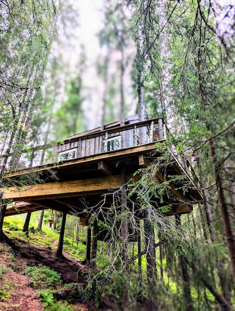 Tree-Top-Hut in Fairytale Telemark - Lårdal