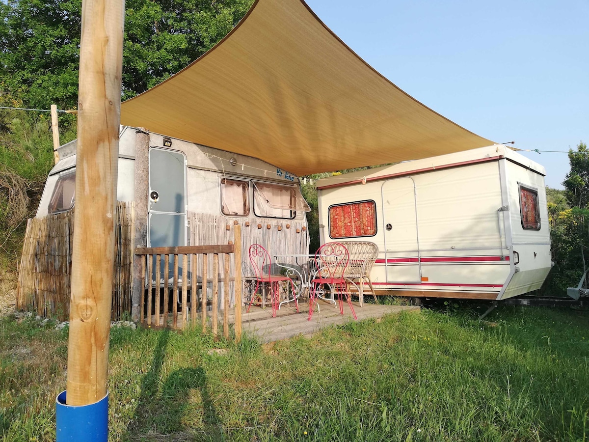A shaded outdoor seating area is presented with a small patio featuring four metal chairs, surrounded by grassy terrain. Two vintage caravans, positioned closely, showcase distinct designs, with one adorned in faded colors. A wooden fence adds a rustic charm to the setting.