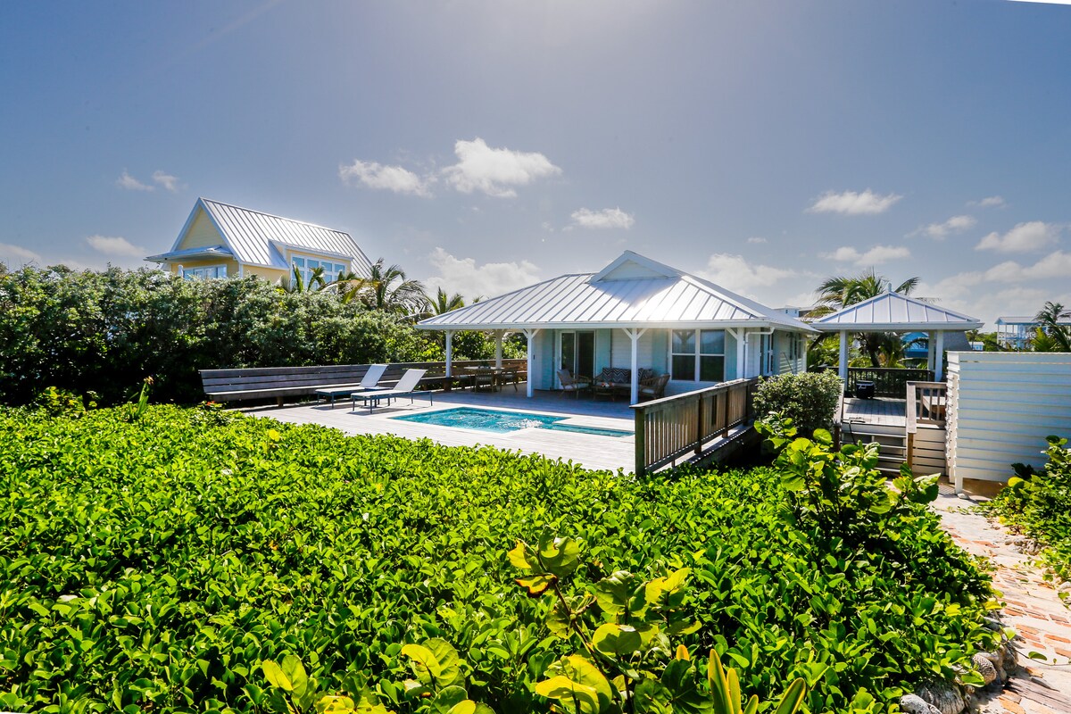 A white house with a metal roof is surrounded by green foliage, featuring a spacious deck and a mineral water pool. Sun loungers are positioned beside the pool, and the landscape is dotted with palm trees, creating a serene outdoor environment.