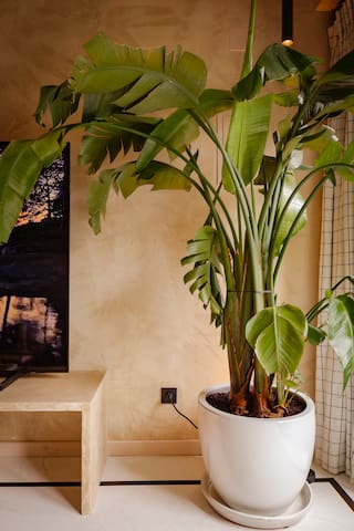 Amazing Pool Pavilion with Private Heated Pool gallery image 3