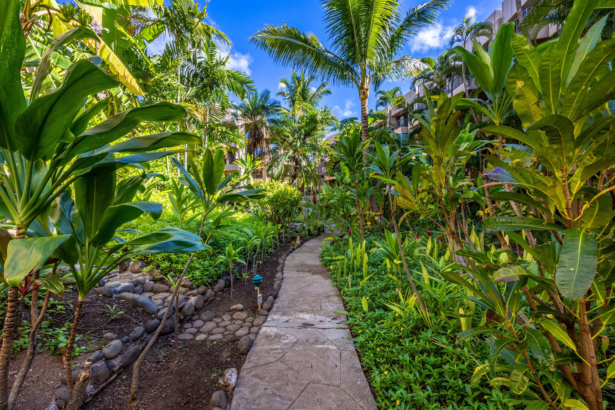 Condo in Lahaina · ★4.94 · 1 bedroom · 1 bed · 1 private bath - Image 39