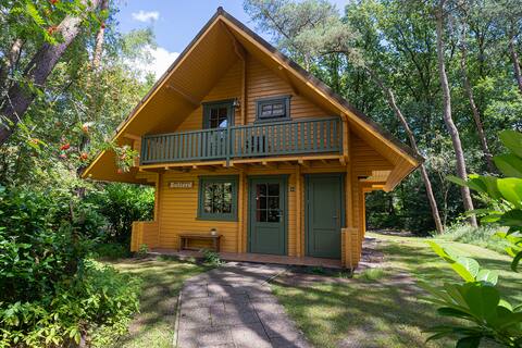 Cozy and complete group home in the woods