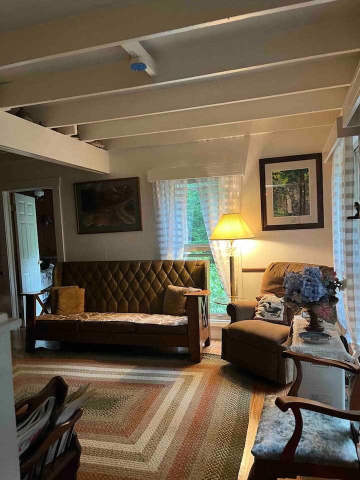 Living room with fireplace.