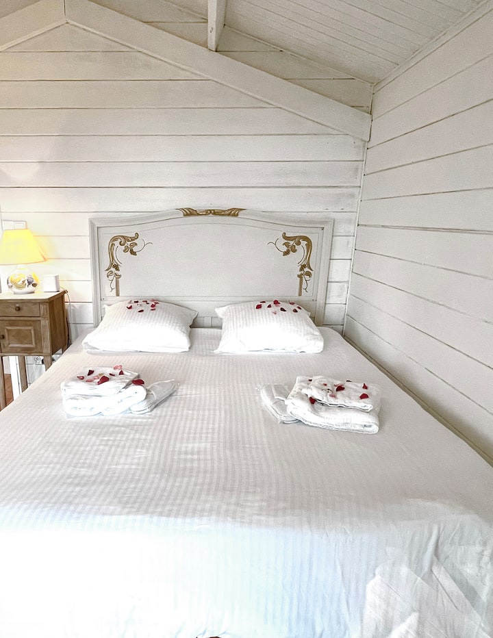 Kitanda 1 cha ukubwa wa Malkia - Matandiko yenye ubora wa hali ya juu 