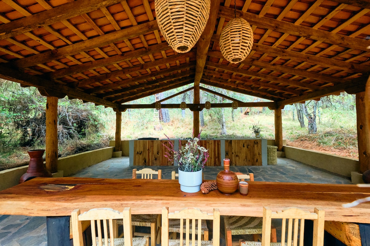 Propiedad de Airbnb exitosa: Conifer: Cabin in the Forest | Vaca en Juanacatlán