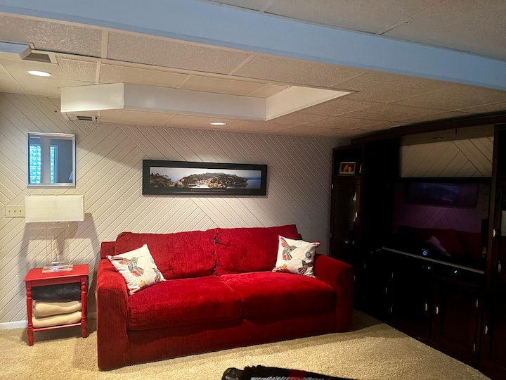 أريكة للنوم في الطابق السفلي/منطقة الترفيه.  