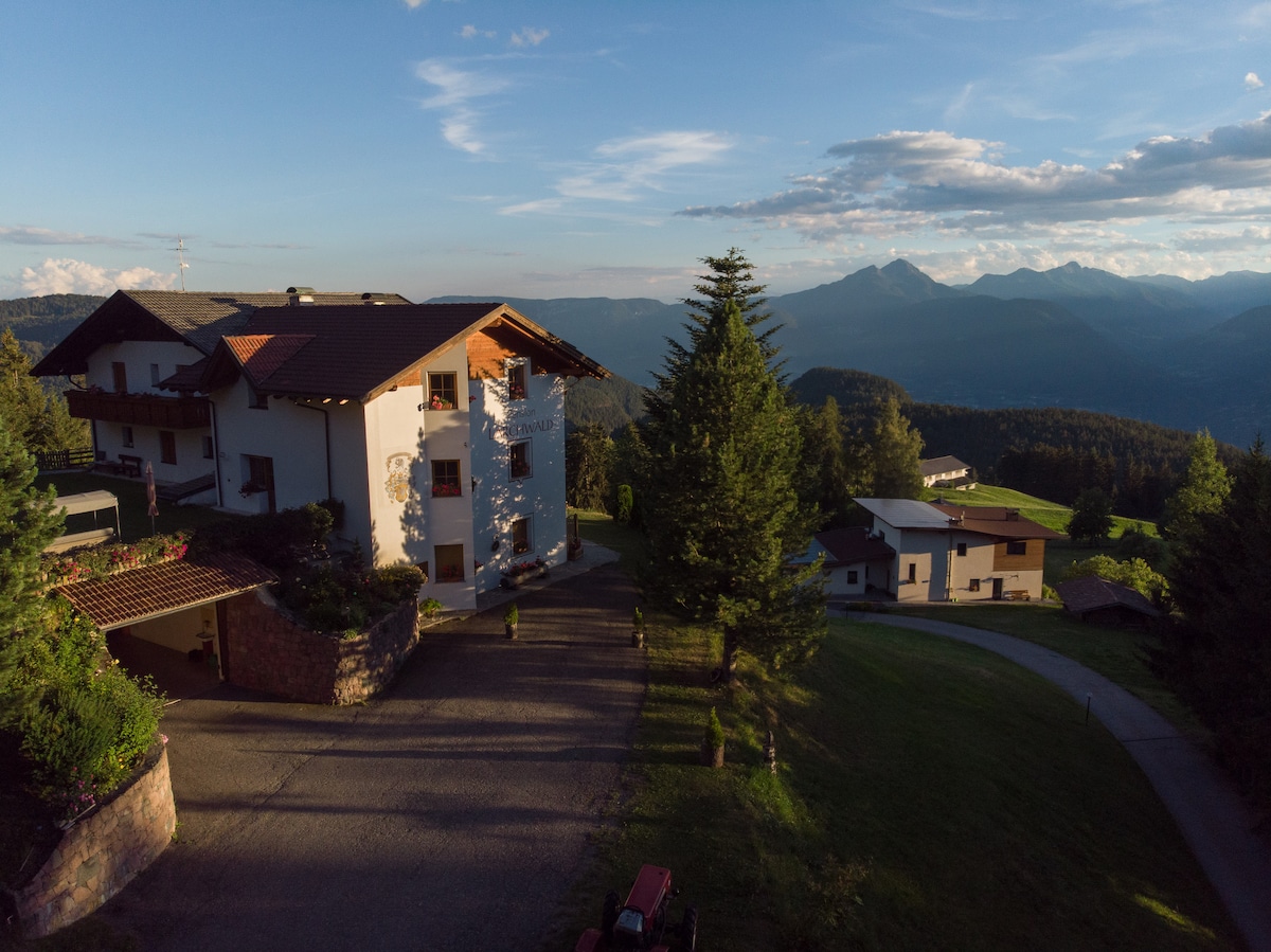 A scenic view captures a multi-story building surrounded by lush greenery, with mountains visible in the background. The structure features a combination of stone and wood elements, and a paved driveway leads to the entrance. Soft sunlight bathes the landscape, enhancing the natural surroundings.