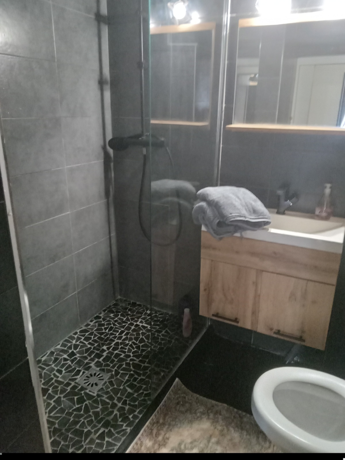 The modern bathroom features a walk-in shower with a glass panel and a rainfall showerhead. Below the mirror, a wooden vanity with storage is visible, complemented by neatly stacked towels. A sleek toilet is positioned next to a textured rug, enhancing the area's design.