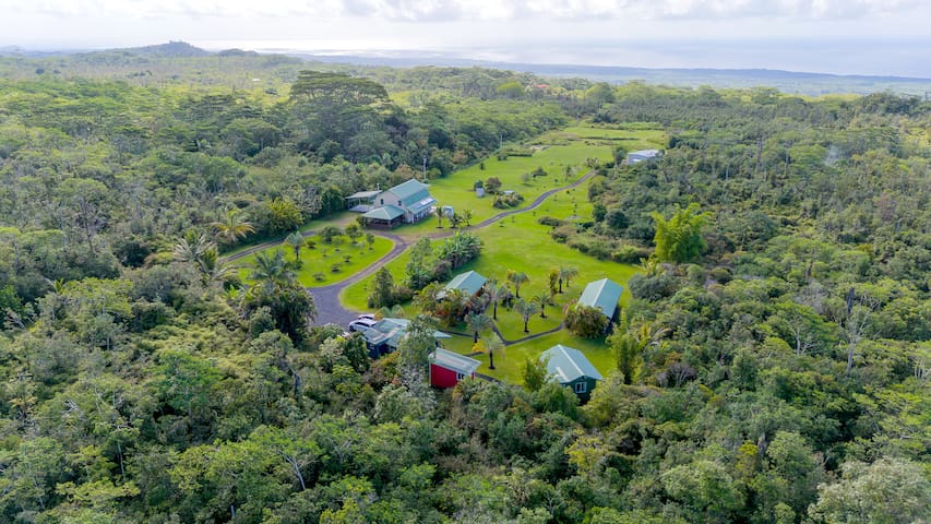 Puna Rainforest Hotspring Estate