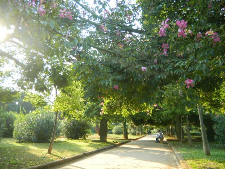 Joli 2 Chambres Avec Parking Gratuit Et Wi-fi - Palerme